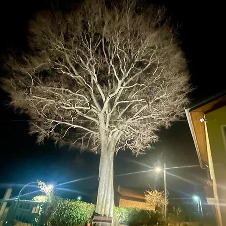 Maison Sabrina Con Vista Giardino *